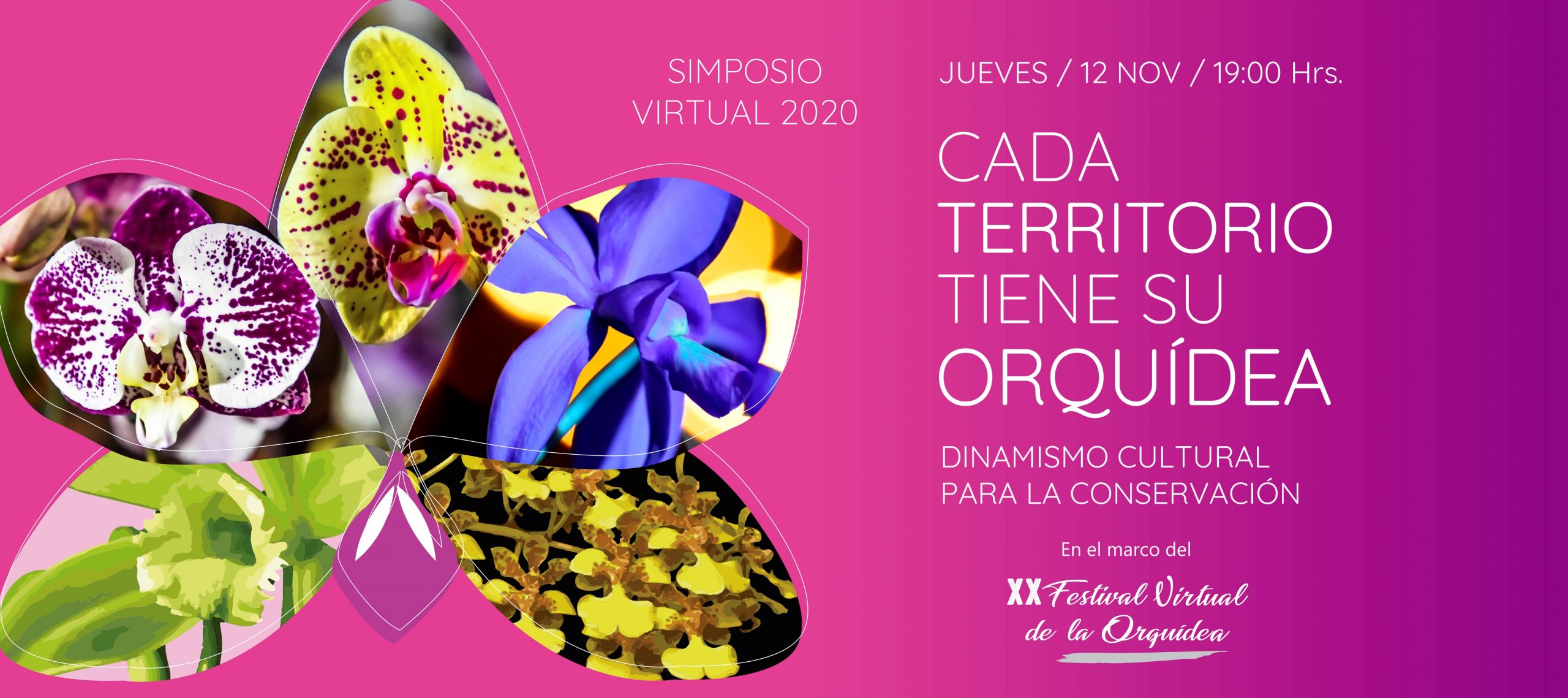 Festival de la Orquidea de Concepción Te presentamos el Festival de